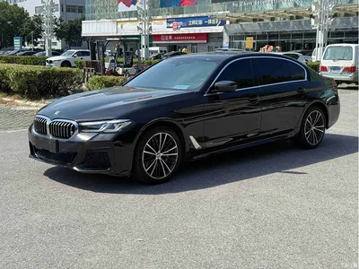 2021 BMW 5 Series 530Li Leading M Sport Package, фото 1, лот 10481426