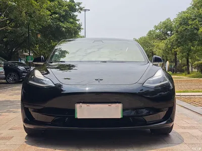 2019 Tesla Model 3 Standard Range Rear-Wheel Drive Upgrade, фото 2, лот 11107116