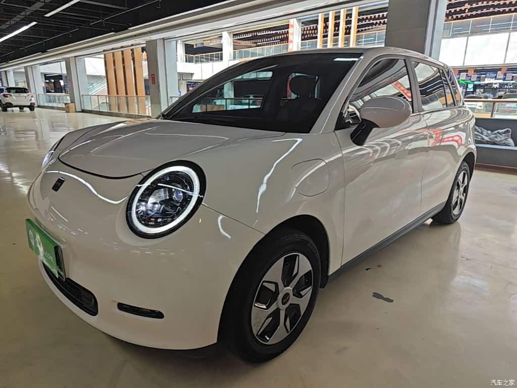 2024 JAC Yiwei Yiwei 3 Beloved Edition 330km Air, фото 1, лот 11227437