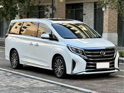 2020 GAC Trumpchi Trumpchi M8 Pilot 390T Prestige Edition, фото 3, лот 11197590