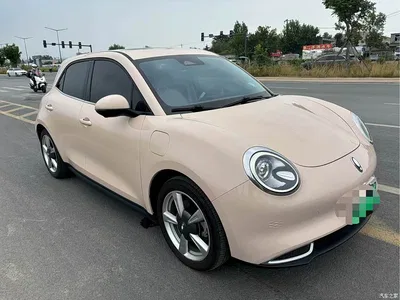 2023 Ora Good Cat 401km Standard Range Premium LFP, фото 3, лот 10330627