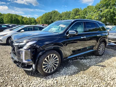 2025 HYUNDAI PALISADE CALLIGRAPHY, фото 1, лот 11124262