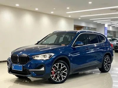 2020 BMW X1 xDrive25Li Premium Edition, фото 1, лот 11511243