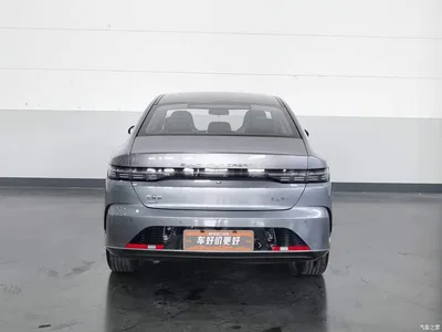2024 BYD Destroyer 05 Glory Edition DM-i 55KM Luxury, фото 4, лот 10511848