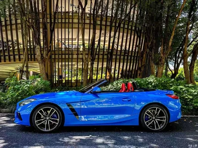 2019 BMW Z4 sDrive 25i M Sport Package, фото 3, лот 10408609