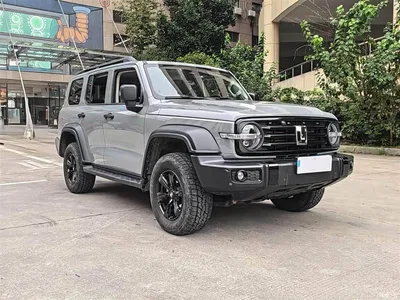 2023 Tank 300 Off-Road Edition 2.0T Conqueror, фото 3, лот 11207343