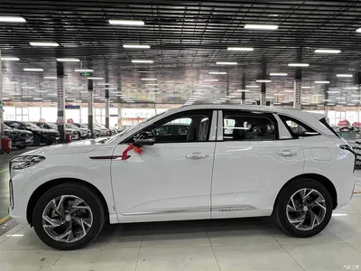 2024 Hongqi HS3 1.5T Virtue Edition, фото 3, лот 10289099