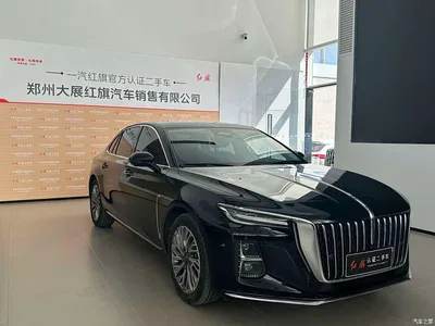 2023 Hongqi H5 2.0T Auto Smart Connect Flag Comfort, фото 4, лот 11476288
