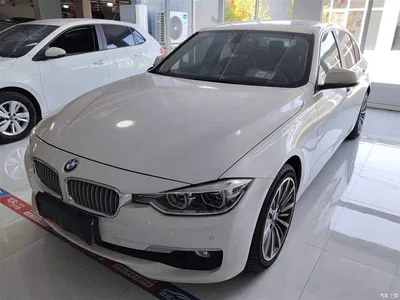 2019 BMW 3 Series 320Li Fashion Type, фото 1, лот 10458258