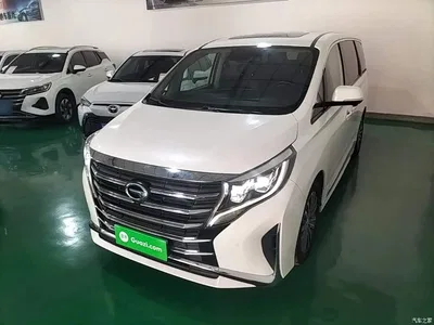 2021 GAC Trumpchi Trumpchi M8 Leading Show Series 390T Ultimate Edition, фото 2, лот 10425008