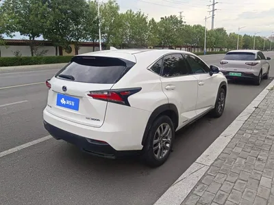 2015 Lexus NX 300h AWD F SPORT, фото 3, лот 10318272