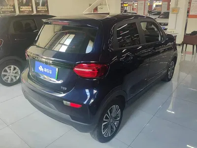 2021 Leapmotor T03 400 Comfort Edition, фото 3, лот 10444350