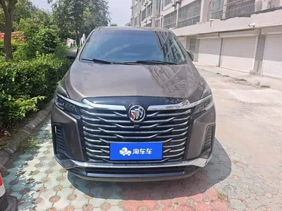 2023 Buick GL8 Facelift Land Business Class Luxury, фото 2, лот 10251363