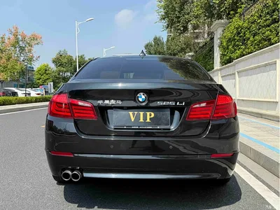 2012 BMW 5 Series 520Li Elegance, фото 4, лот 11567937