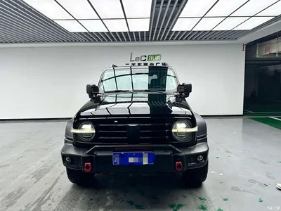 2021 Tank 300 Off-road Version 2.0T Conqueror, фото 1, лот 10345356