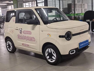 2025 Geely Galaxy Panda mini 210km Vitality Bear, фото 2, лот 10429363