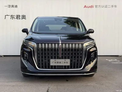 2024 Hongqi HQ9 Model 2.0T Luxury Edition, фото 1, лот 10287598
