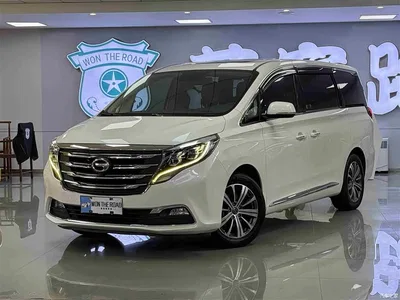 2018 GAC Trumpchi Trumpchi M8 320T Premium Edition, фото 1, лот 10416252