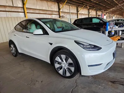 2020 TESLA MODEL Y, фото 4, лот 11576906