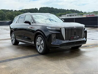 2022 Hongqi E-HS9 690km Qi Xiang Edition (6-seater), фото 3, лот 10287036