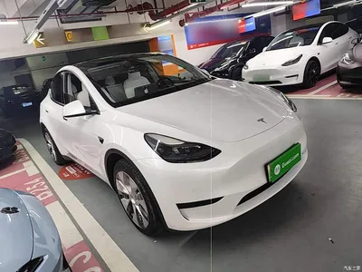 2022 Tesla Model Y Rear-Wheel Drive Version, фото 4, лот 10435158