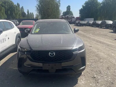 2026 Mazda CX-50 Xingye 2.0L Pilot Edition, фото 1, лот 10385562