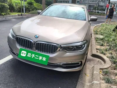 2019 BMW 5 Series New Energy 530Le Luxury Package, фото 1, лот 11136213