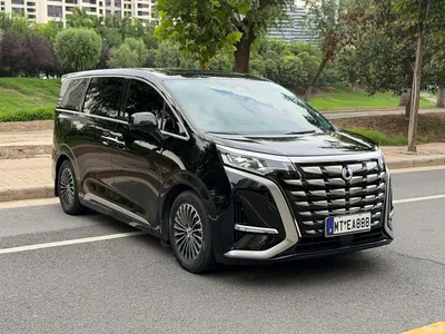2024 Denza D9 DM-i 980 AWD Prestige, фото 3, лот 10355019
