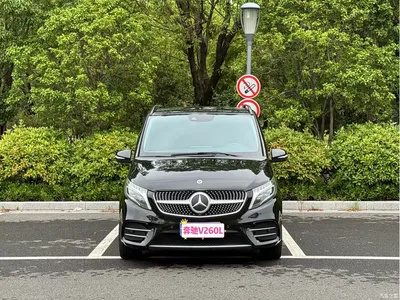 2021 Mercedes-Benz V-Class V 260 L Long Wheelbase Luxury Edition, фото 1, лот 10766433
