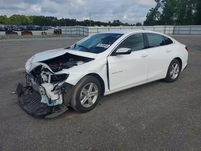 2024 CHEVROLET MALIBU LS, фото 1, лот 10706664