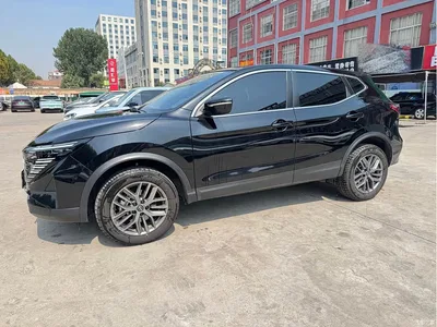 2025 Nissan Qashqai Facelift Honor 2.0L CVT XV Sincere Edition, фото 4, лот 10605185