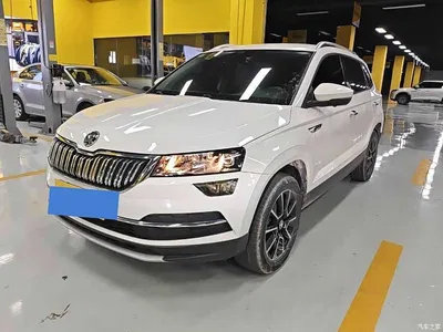 2021 Škoda Karoq TSI280 Tech Edition, фото 1, лот 11134340