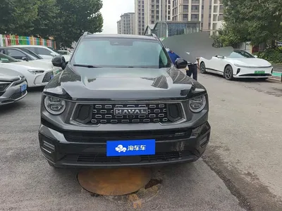 2023 Haval Da Gou 2nd Gen 2.0T 2WD Trendy Off-road Edition Plus, фото 2, лот 11202144