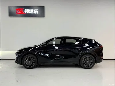2024 XPeng G6 580 Long Range Plus, фото 3, лот 10376603