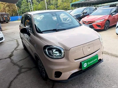 2021 Leapmotor T03 400 Luxury Edition, фото 4, лот 10442384