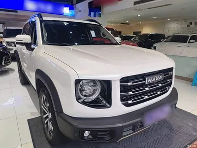 2021 Haval Big Dog 1.5T DCT 2WD Border Collie Edition, фото 4, лот 10804099
