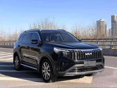 2021 Kia Sportage Ace 2.0L Brilliant Edition, фото 3, лот 10337047