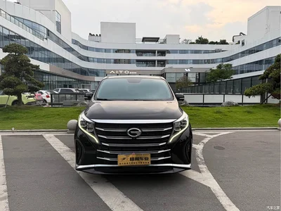 2021 GAC Trumpchi Trumpchi M8 Leading Show Series 390T Prestige Edition, фото 2, лот 10414225