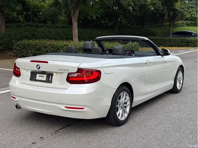 2015 BMW 2 Series (Import) 218i Convertible Coupe, фото 4, лот 10471607