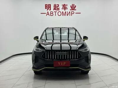 2022 Haval Chitu Power Edition 1.5T Purple Copper Rabbit, фото 2, лот 10298000