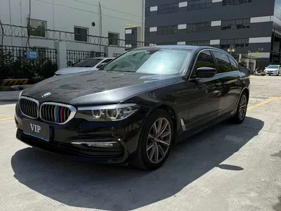 2018 BMW 5 Series 528Li Launch Special Edition, фото 3, лот 10445992