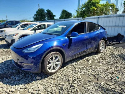 2021 TESLA MODEL Y, фото 1, лот 11053487