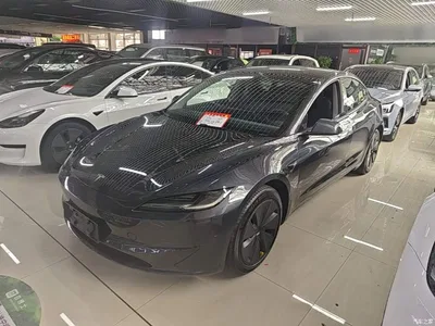 2023 Tesla Model 3 Rear-Wheel Drive, фото 1, лот 10369790