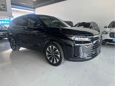 2022 AITO Wenjie AITO M7 1.5T RWD Comfort Edition, фото 3, лот 10277226