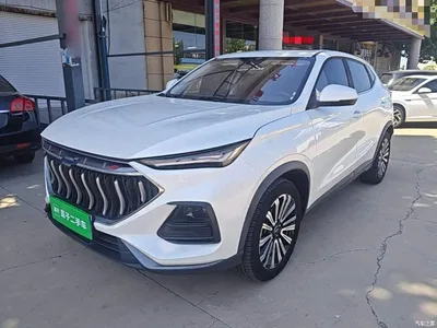 2023 Changan Oshan Changan Oushang X5 Enjoy Edition 1.5T DCT Luxury, фото 2, лот 11162641