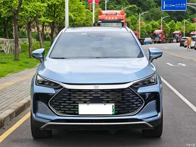 2024 Byd Tang, фото 2, лот 10246704