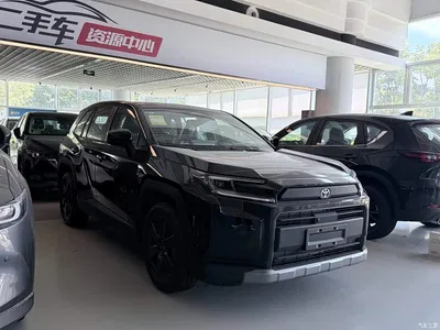 2026 Toyota RAV4 Rongfang 2.0L Base Model, фото 3, лот 10323159