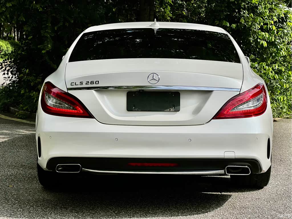2016 Mercedes-Benz CLS 260 Edition, фото 3, лот 11220622