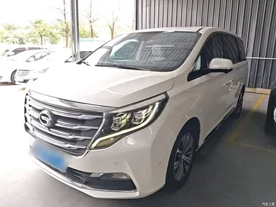2018 GAC Trumpchi Trumpchi M8 320T Flagship Edition, фото 1, лот 10425014