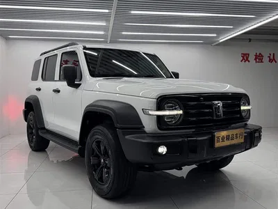 2021 Tank 300 Off-road Version 2.0T Conqueror, фото 2, лот 11223901